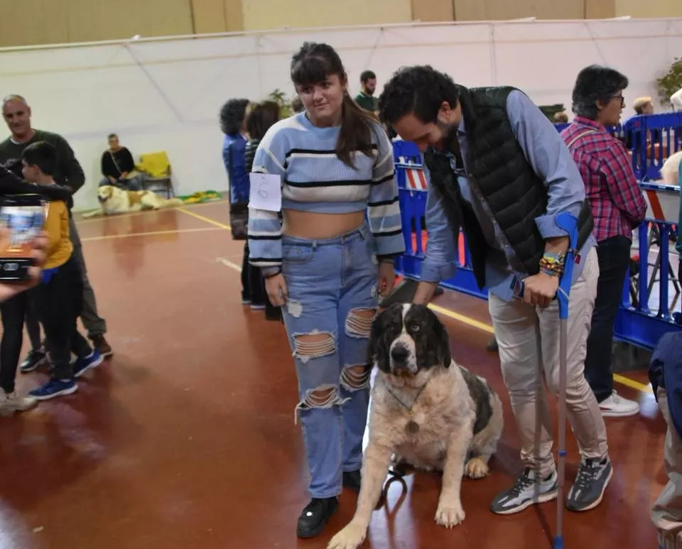 VII Concurso Nacional de Belleza Canina Ciudad de Monzón.