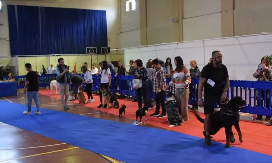 VII Concurso Nacional de Belleza Canina Ciudad de Monzón.