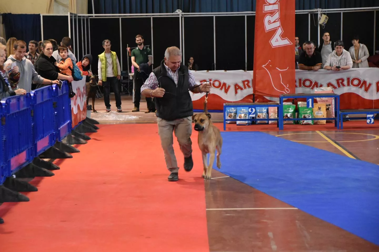 VII Concurso Nacional de Belleza Canina Ciudad de Monzón.