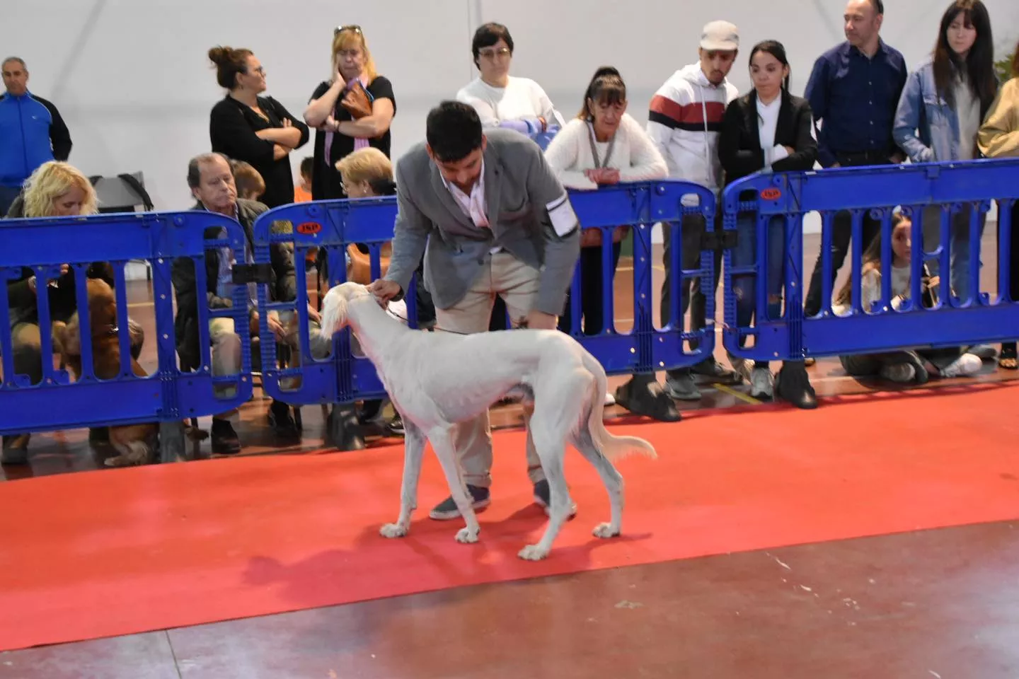 VII Concurso Nacional de Belleza Canina Ciudad de Monzón.
