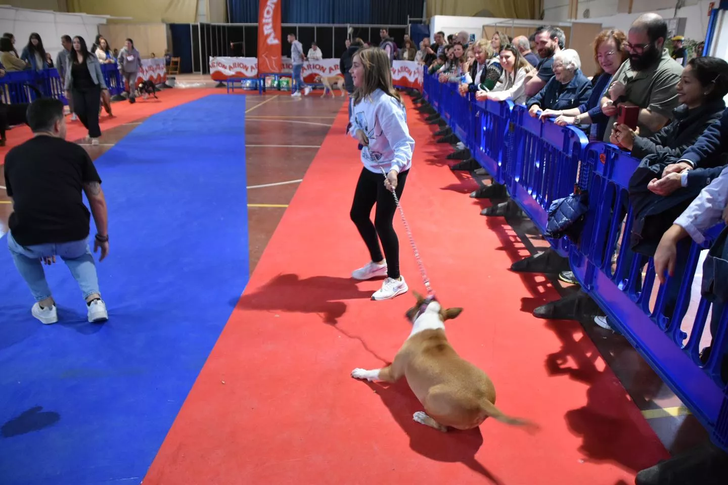 VII Concurso Nacional de Belleza Canina Ciudad de Monzón.