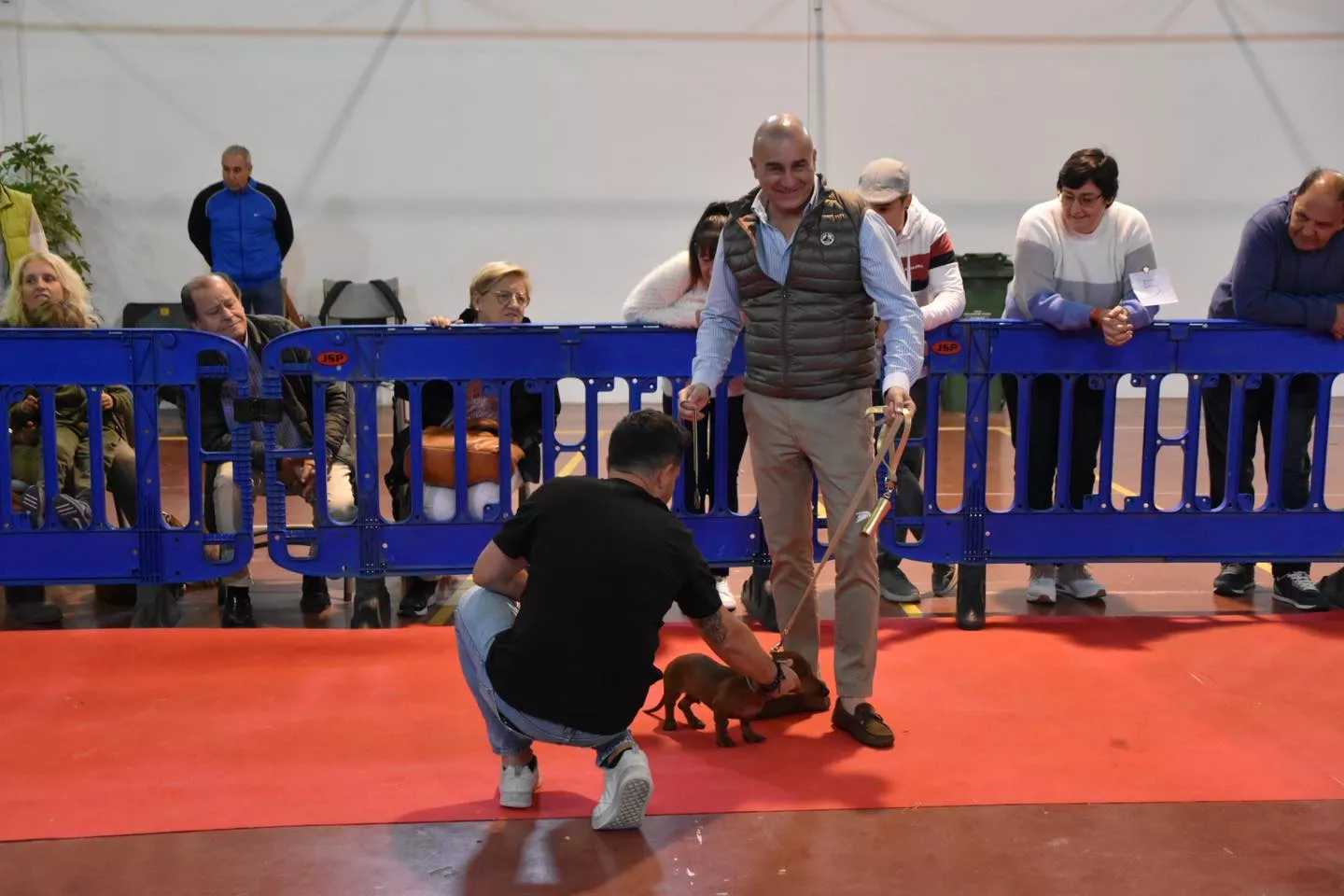VII Concurso Nacional de Belleza Canina Ciudad de Monzón.