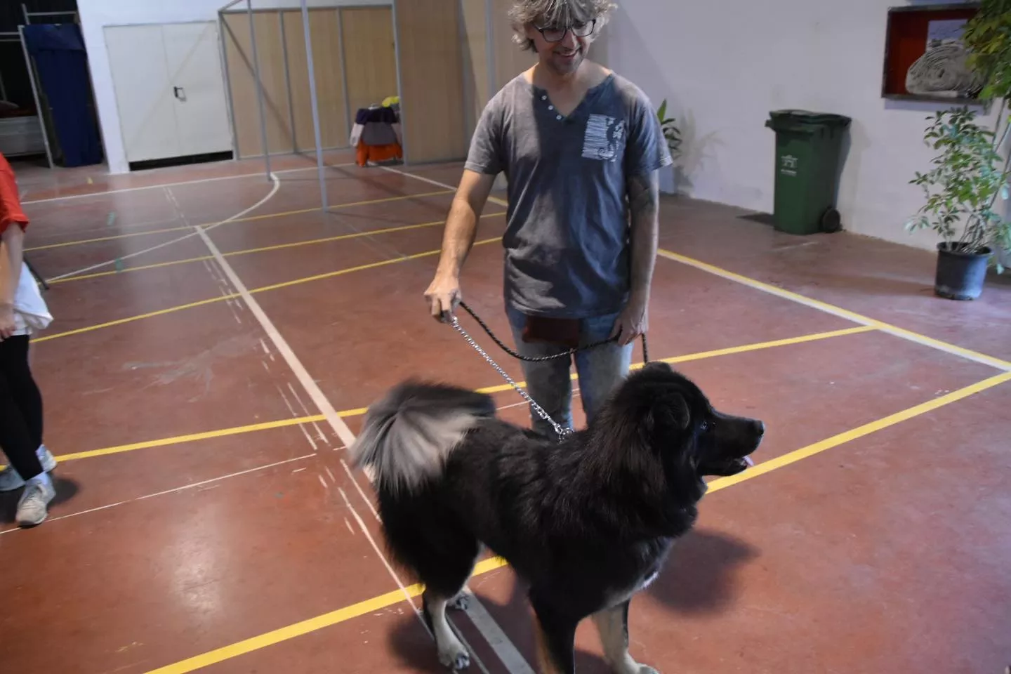 VII Concurso Nacional de Belleza Canina Ciudad de Monzón.