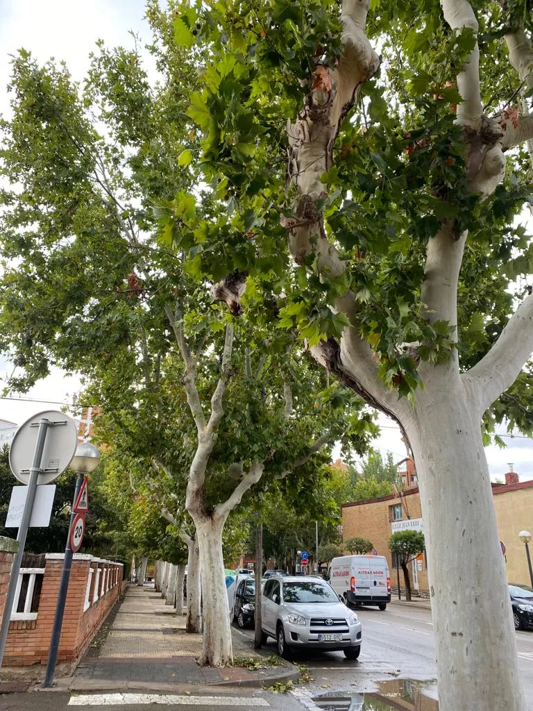 Confluencia de la calle Fraga y Nuestra Señora de Begoña