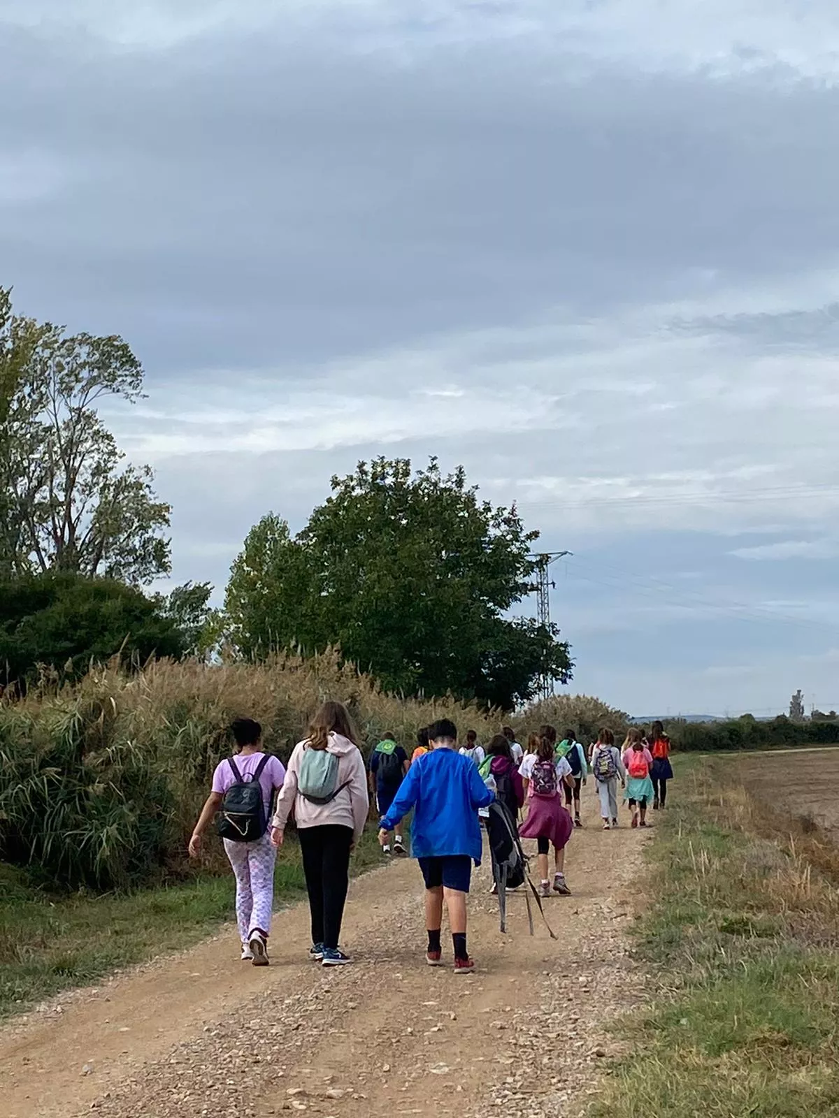Escolares del Colegio Pedro J. Rubio recorriendo el Camino de Santiago.