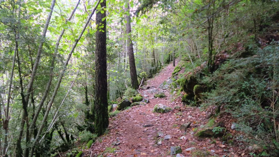 Pequeguara por el valle de Bujaruelo