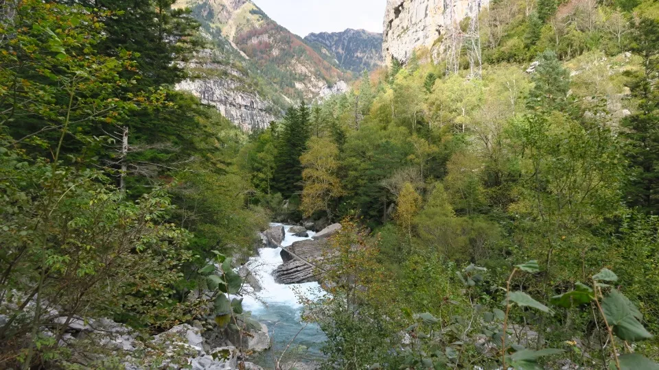 Pequeguara por el valle de Bujaruelo