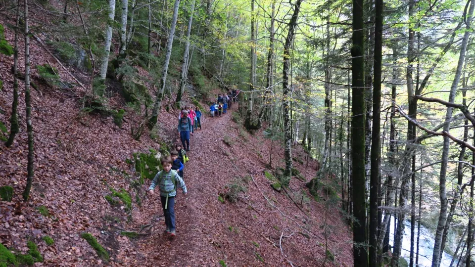 Pequeguara por el valle de Bujaruelo