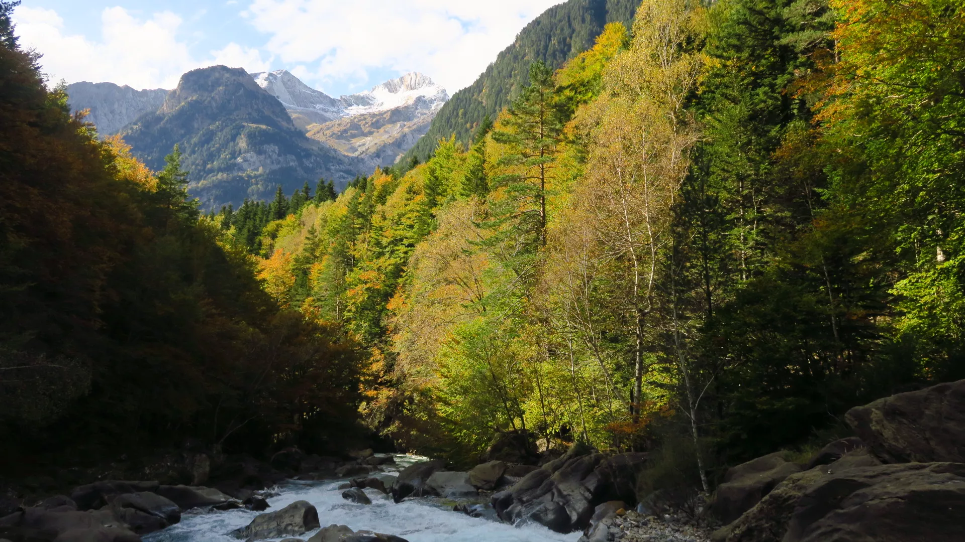 Pequeguara por el valle de Bujaruelo