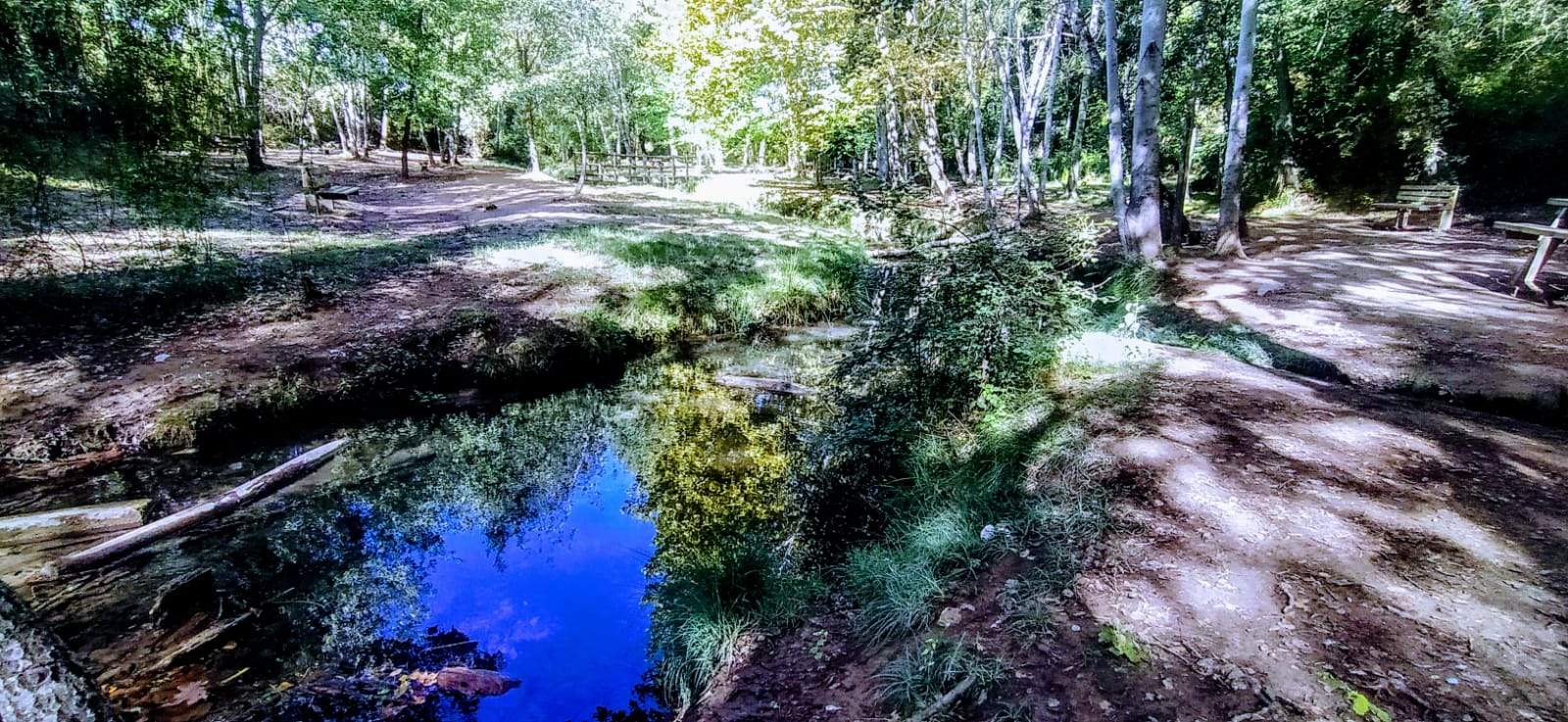 Fuente y sotos de Marcelo. Foto Joaquín Santafé 