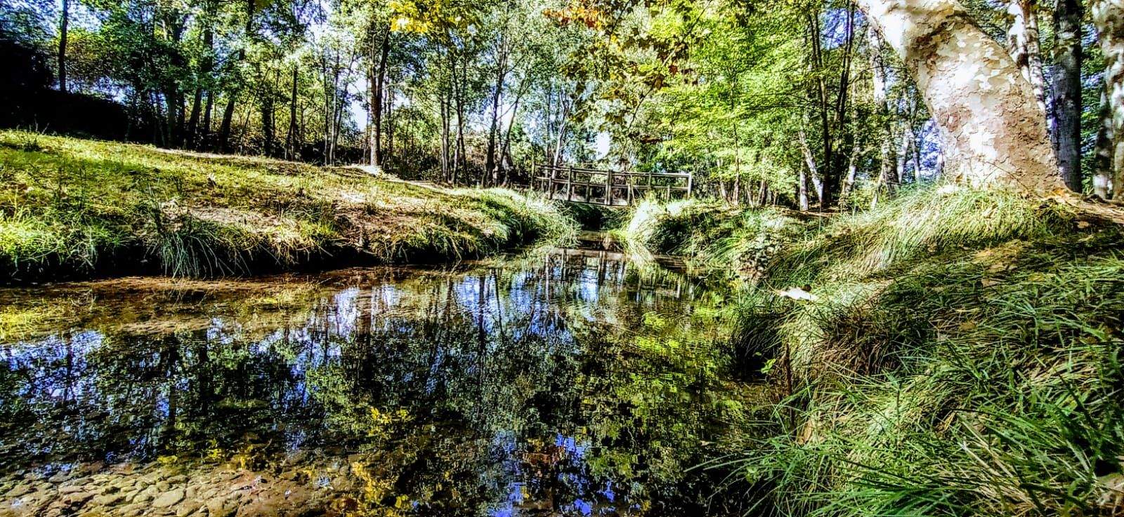 El acceso es muy fresco en verano y está protegido por la vegetación en invierno. Foto Joaquín Santafé 
