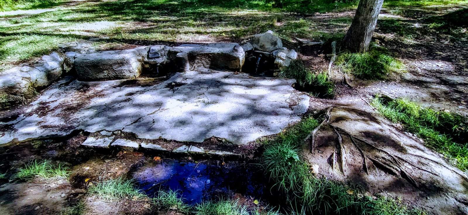 Para llegar, se recorre la ribera del río Isuela por un frondoso camino con numerosas huertas. Foto Joaquín Santafé 