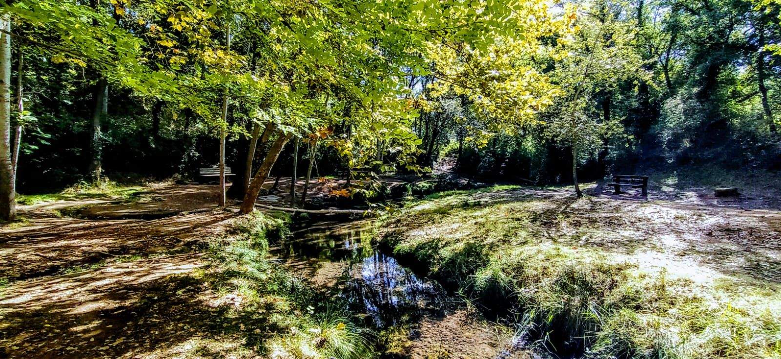 Fuente y sotos de Marcelo. Foto Joaquín Santafé 