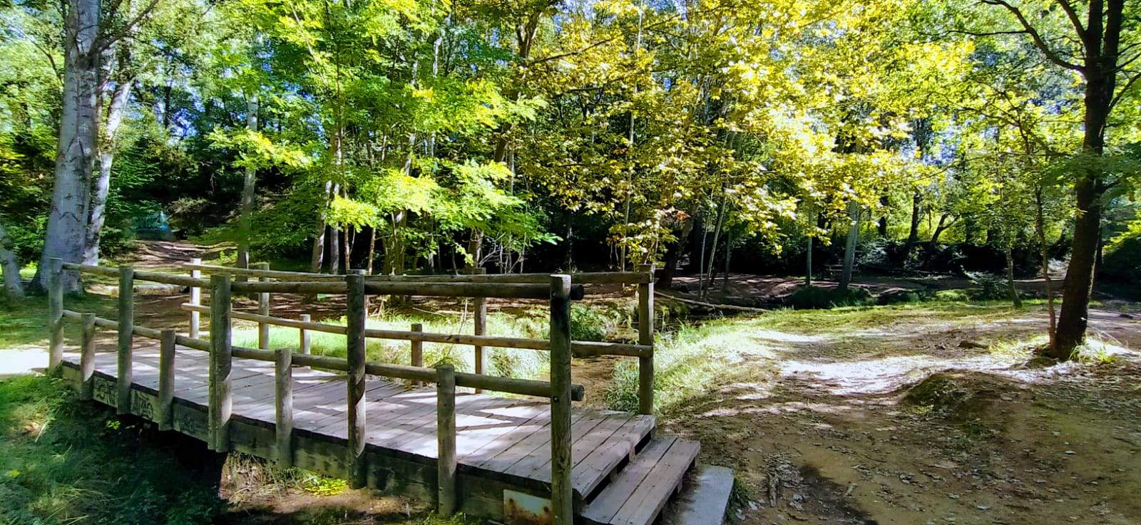 El puente. Foto Joaquín Santafé 