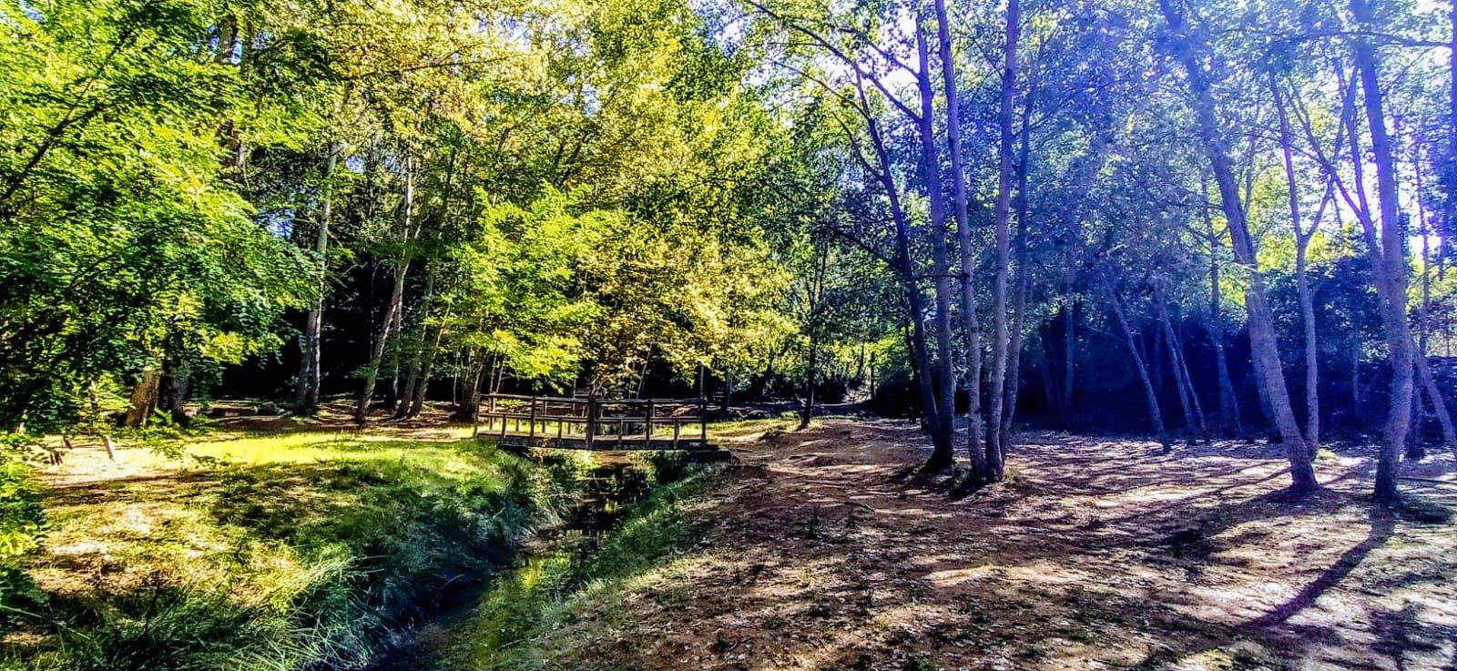 Fuente y sotos de Marcelo. Foto Joaquín Santafé