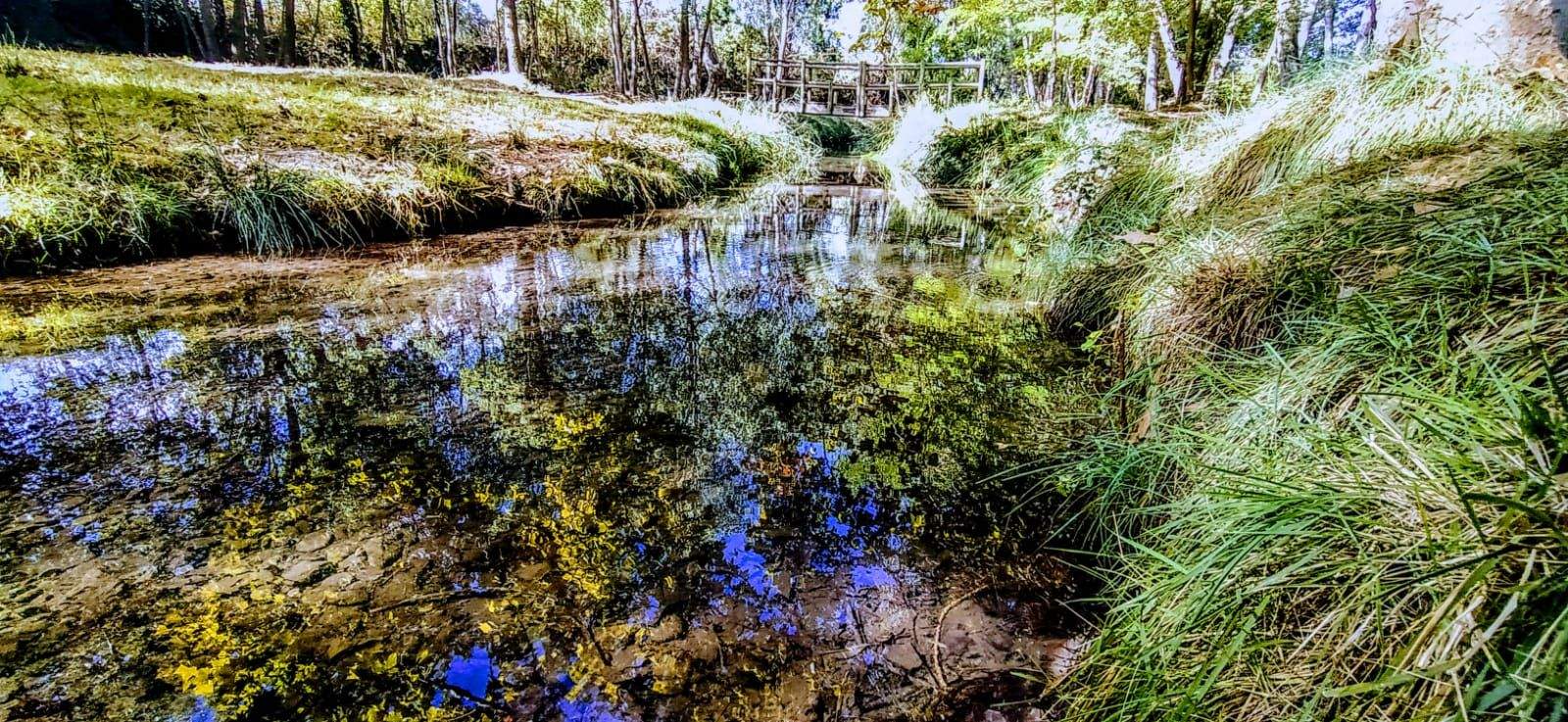 Fuente y sotos de Marcelo. Foto Joaquín Santafé 
