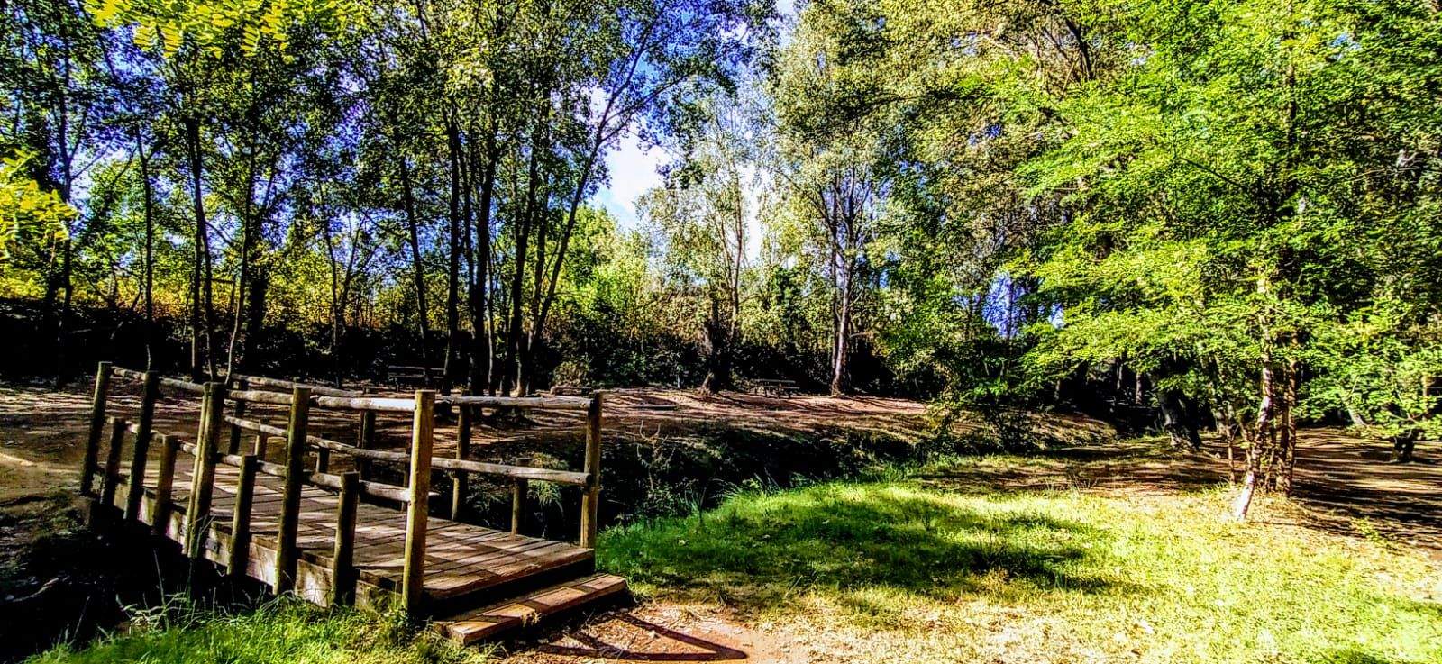 Un puente de madera cruza el río. Foto Joaquín Santafé