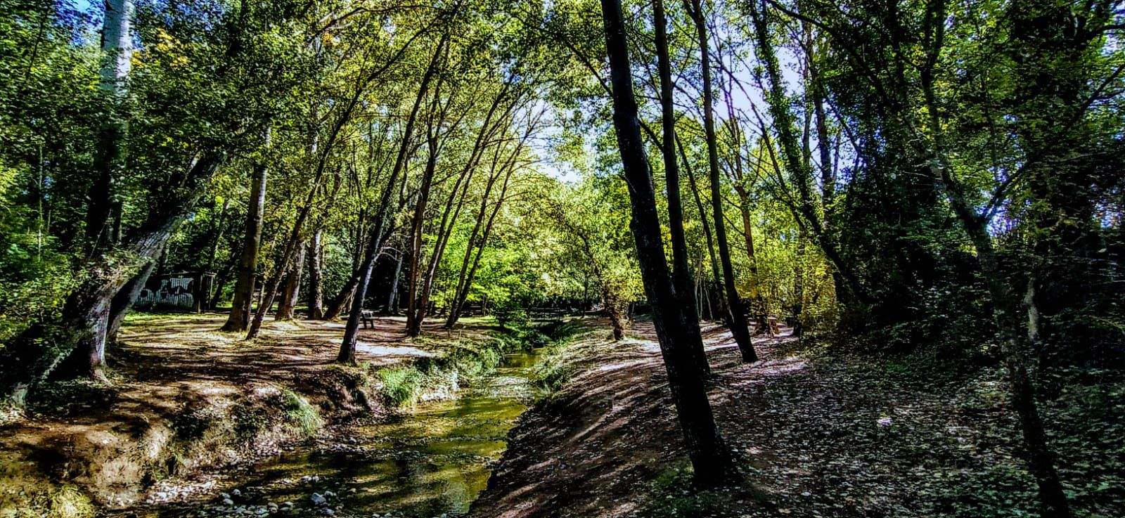 Son tres kilómetros de recorrido hasta llegar a Marcelo. Foto Joaquín Santafé 