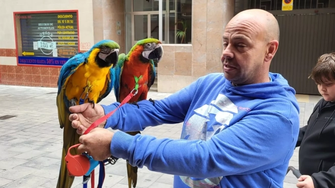 Fernando con los dos loros perfectamente alineados Fernando con los dos loros perfectamente alineados