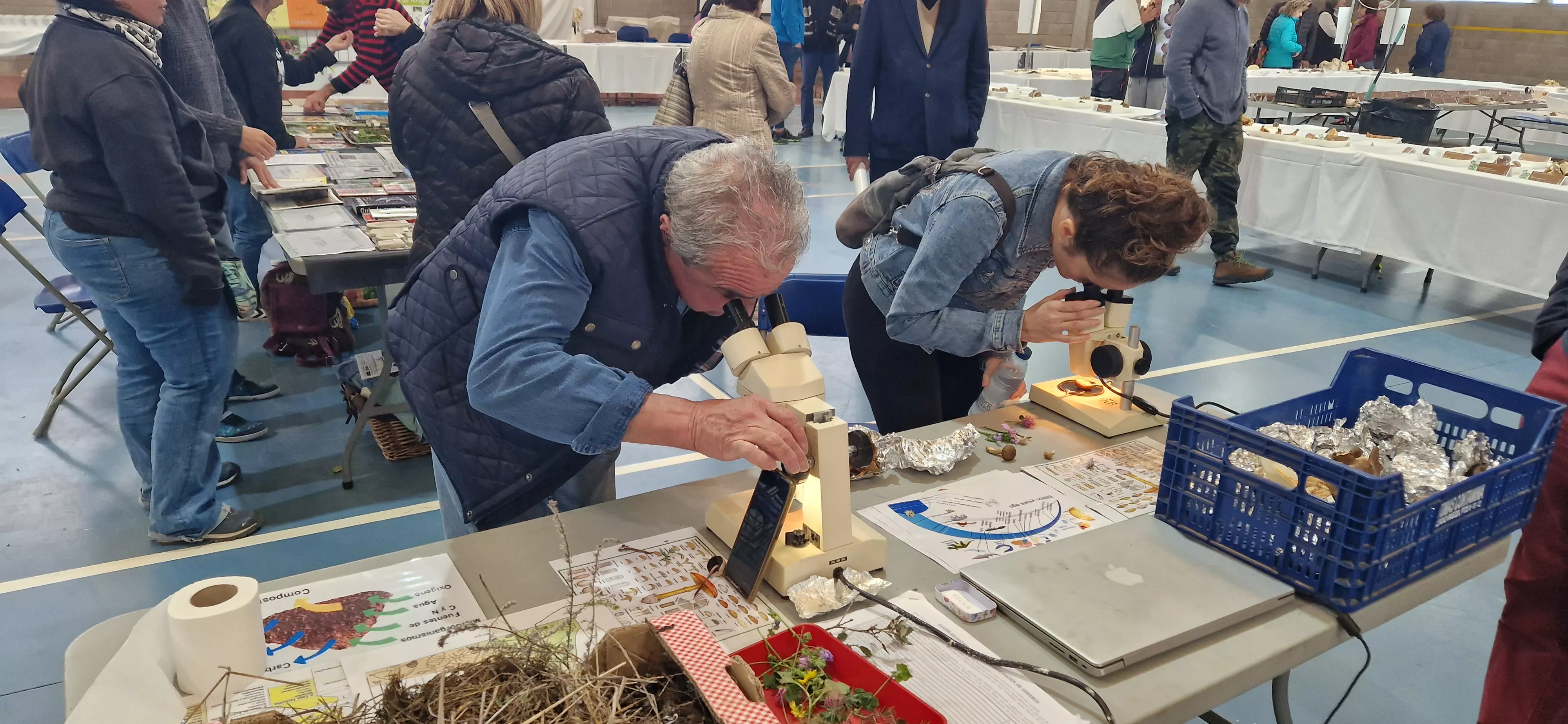  XXXII Jornadas Micológicas de Ayerbe. Foto Myriam Martínez