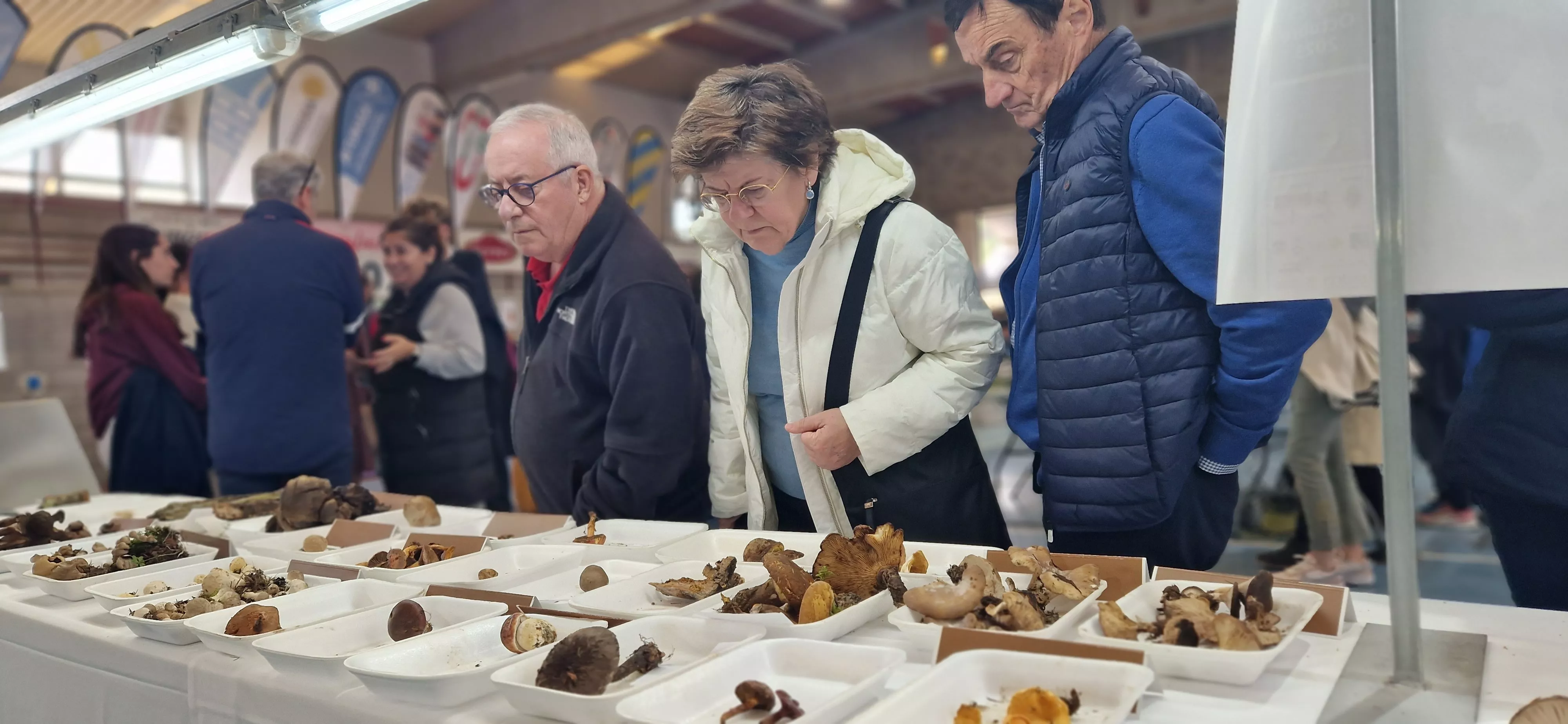 Exposición de setas, en la  XXXII Jornadas Micológicas de Ayerbe. Foto Myriam Martínez