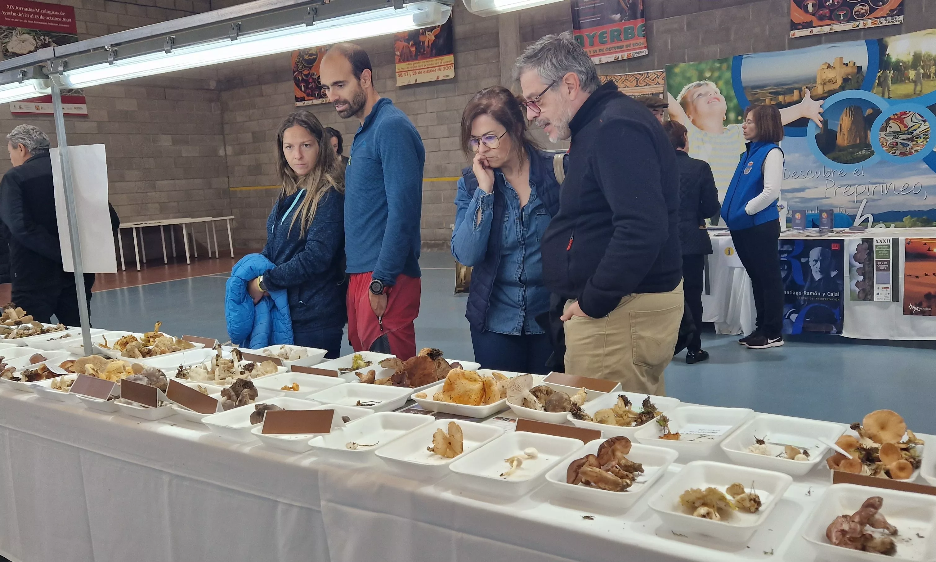 Exposición de setas, en la  XXXII Jornadas Micológicas de Ayerbe. Foto Myriam Martínez
