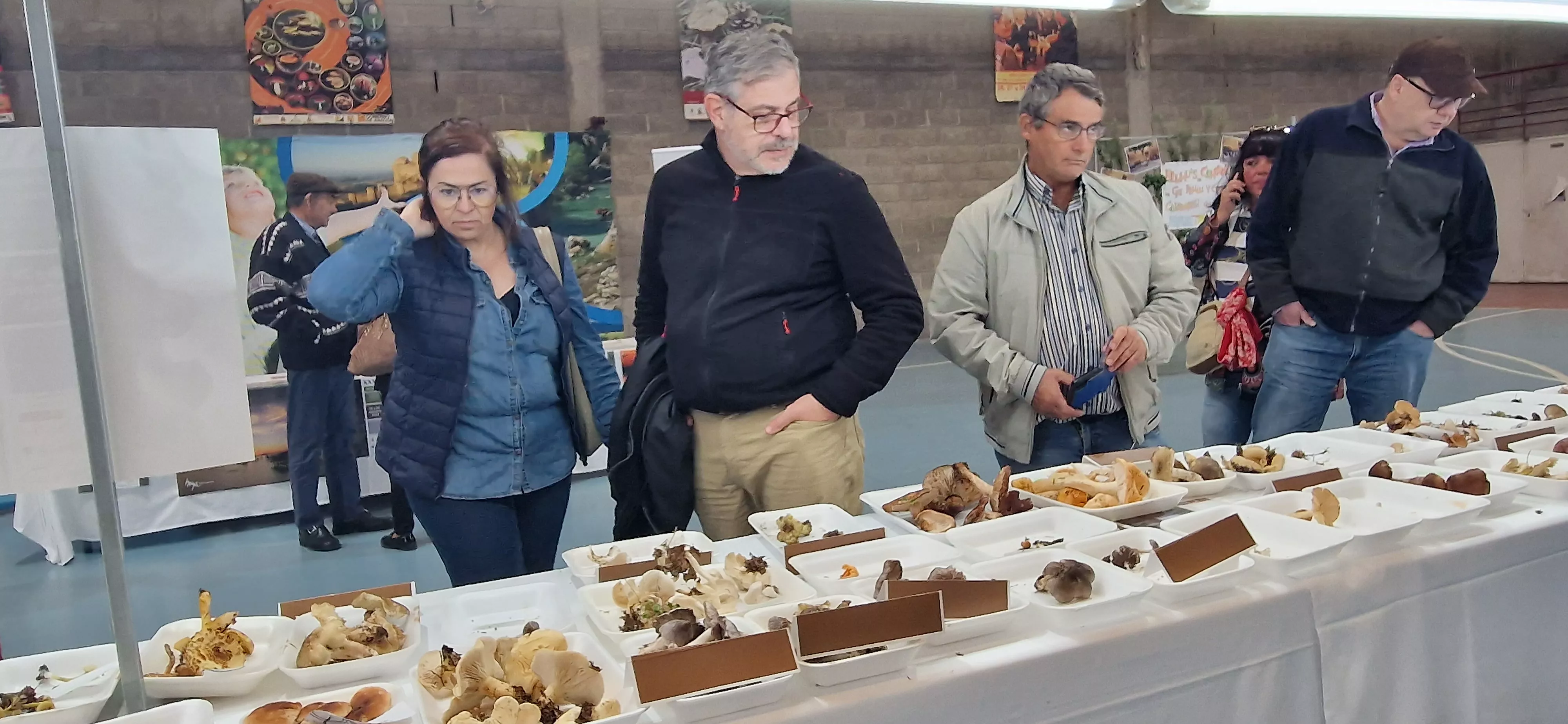 Exposición de setas, en la  XXXII Jornadas Micológicas de Ayerbe. Foto Myriam Martínez124839