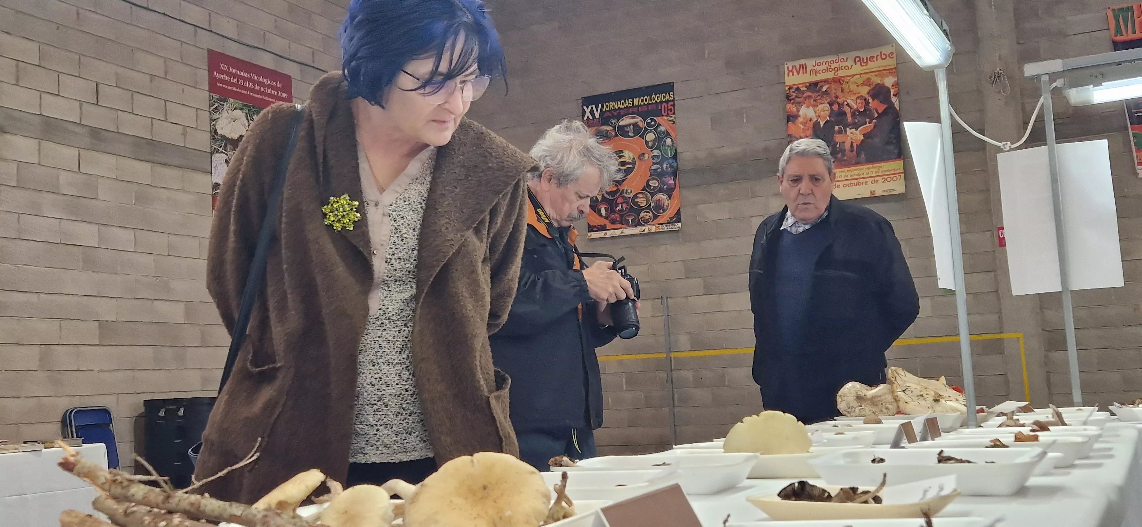 Exposición de setas, en la  XXXII Jornadas Micológicas de Ayerbe. Foto Myriam Martínez