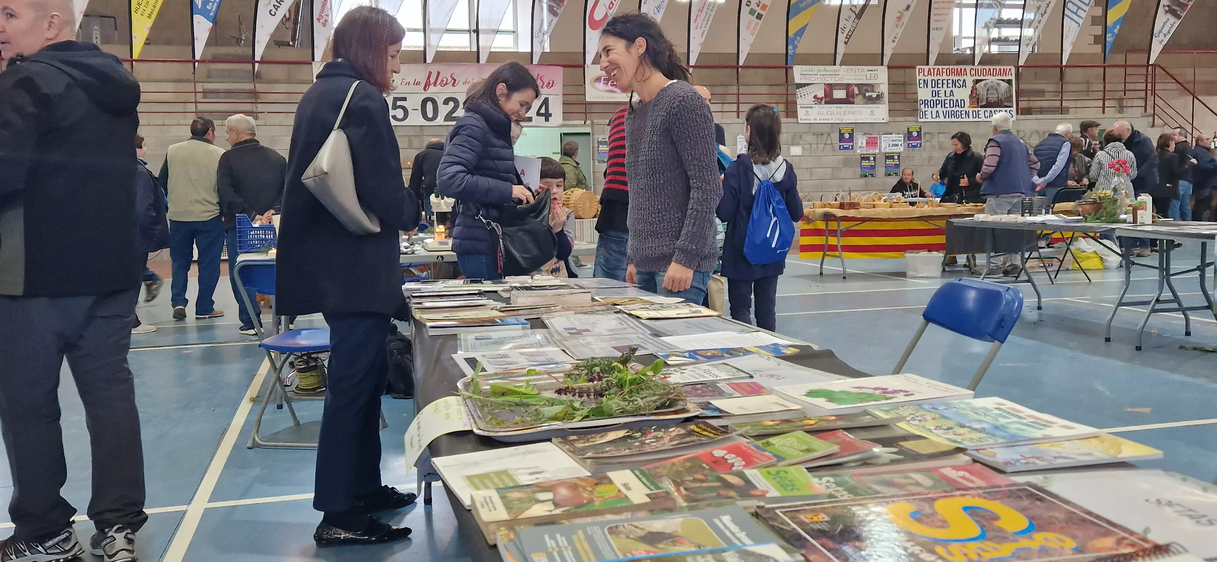 Exposición de setas, en la  XXXII Jornadas Micológicas de Ayerbe. Foto Myriam Martínez
