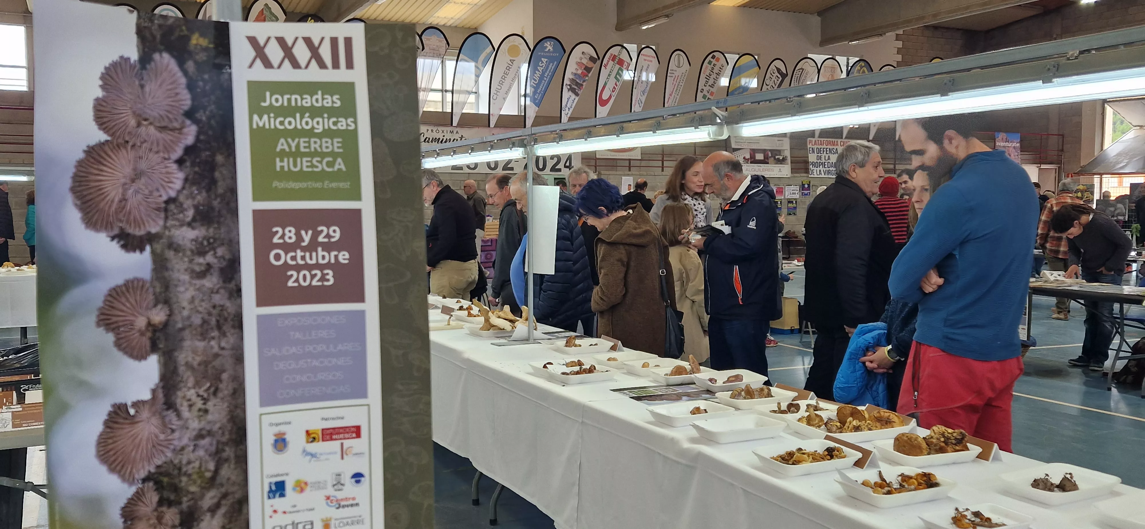 Exposición de setas, en la  XXXII Jornadas Micológicas de Ayerbe. Foto Myriam Martínez