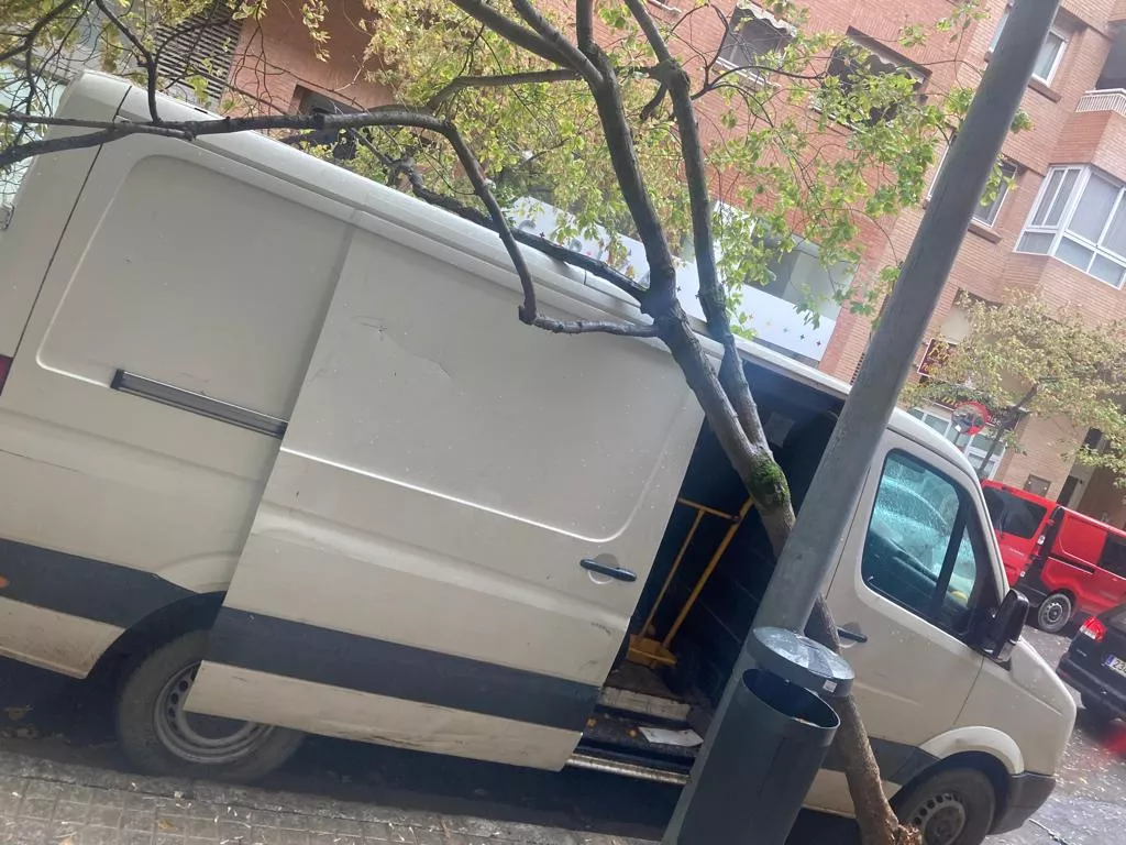 Caída de un árbol este jueves sobre una furgoneta en la calle Camila Gracia.