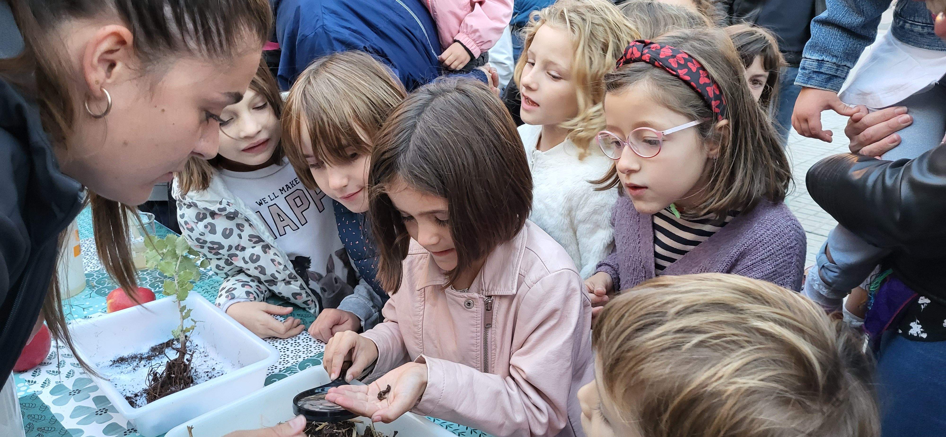 Mucha animación e interés en la Noche de los Investigadores