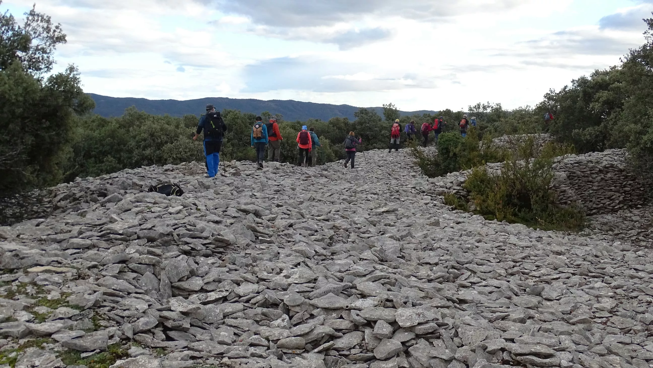 Yacimiento de La Morería.