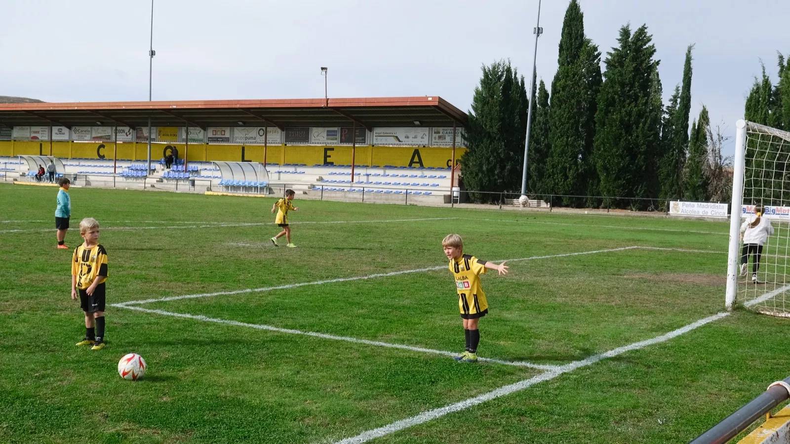 Alcolea CF. Temporada 23-24