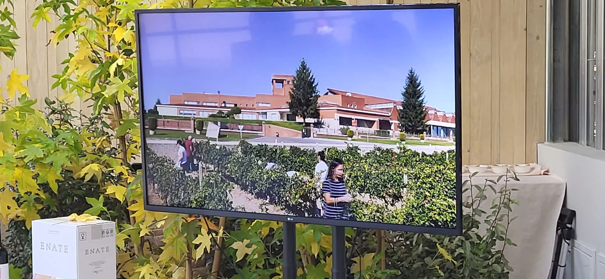 Presentación del Vino Amigo de Valentia, de Bodega Enate