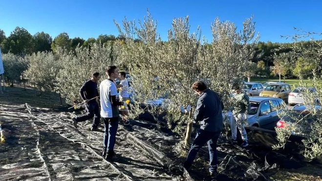 Una buena cosecha Una buena cosecha