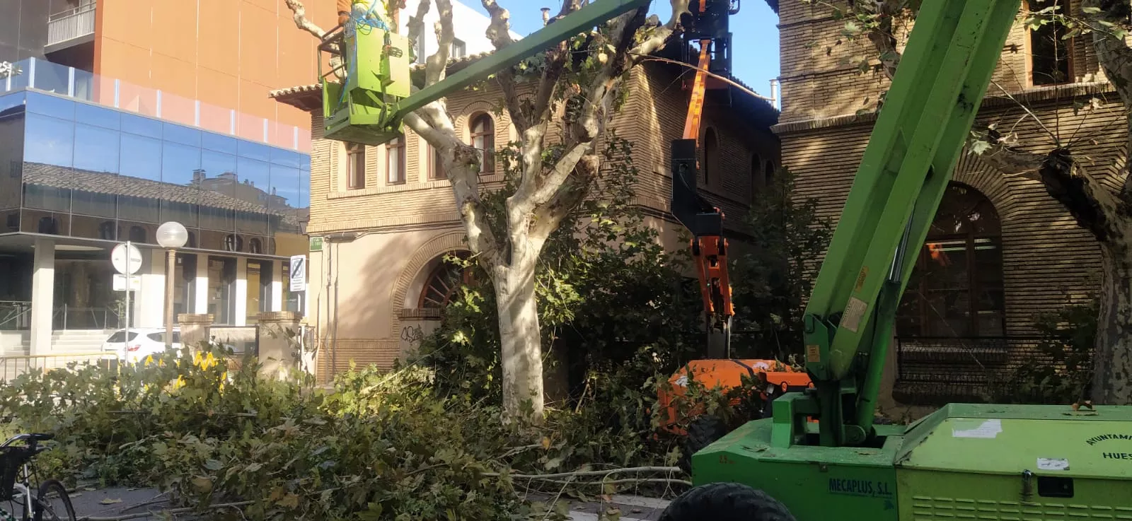 Poda de plátanos en la calle del Parque. Foto Joaquín Santafé 