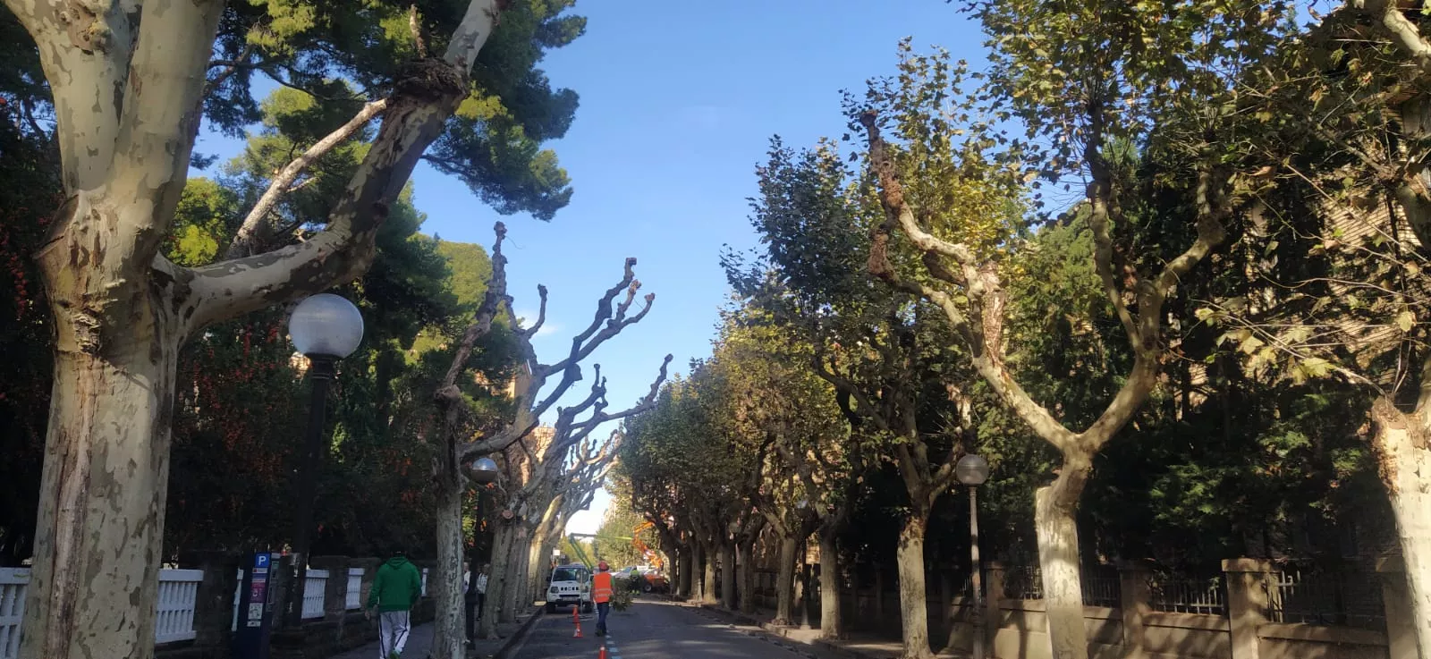 Uno de los vehículos afectados por robo en la calle del Parque de Huesca.