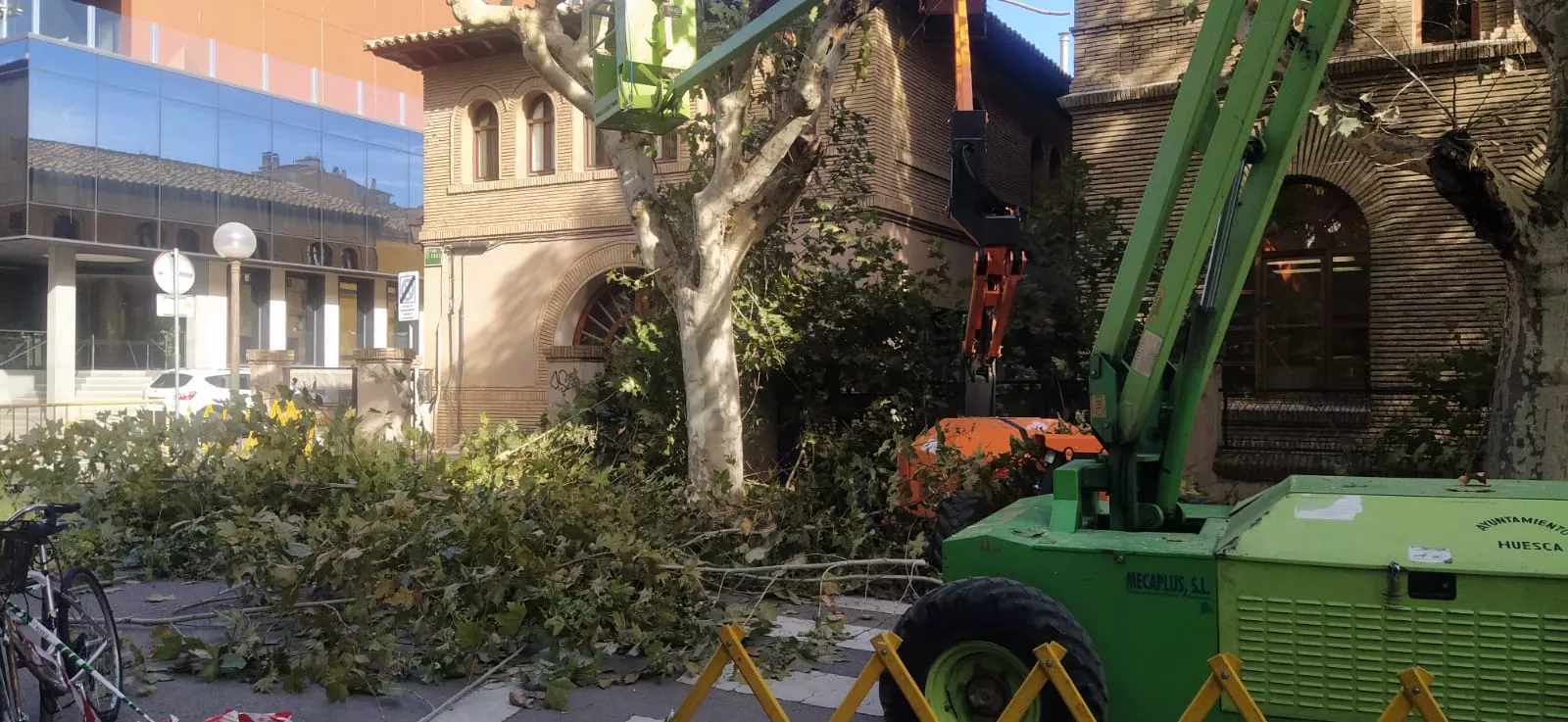 Poda de plátanos en la calle del Parque. Foto Joaquín Santafé 