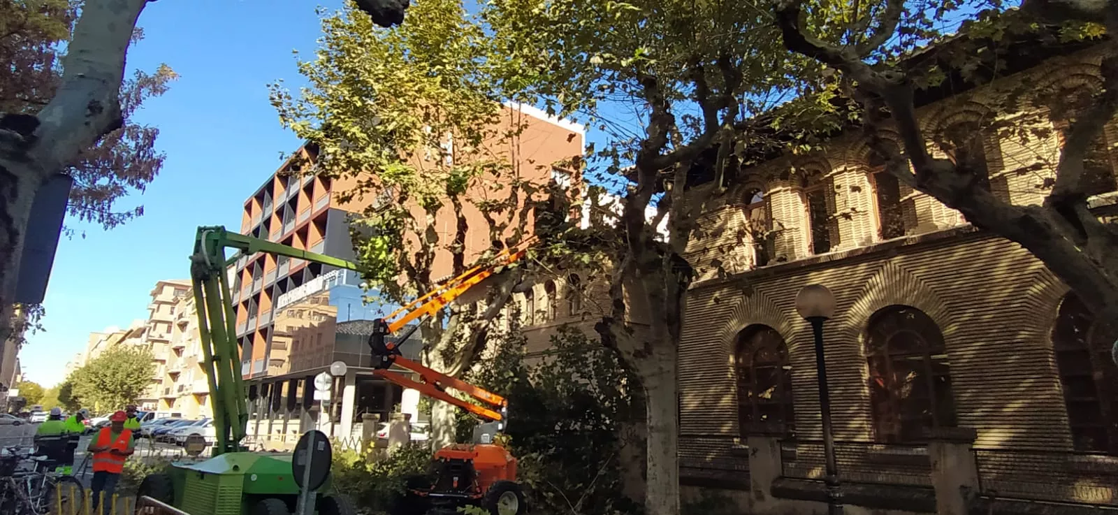 Poda de plátanos en la calle del Parque. Foto Joaquín Santafé 