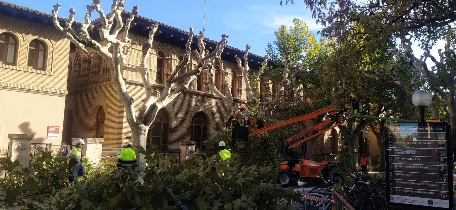 Poda de plátanos en la calle del Parque. Foto Joaquín Santafé 