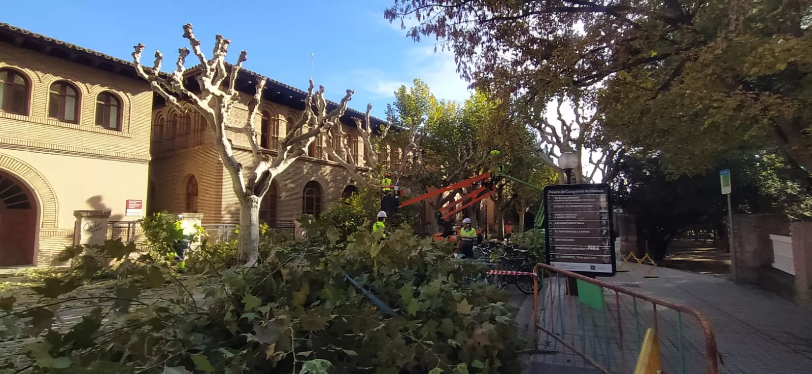 Poda de plátanos en la calle del Parque. Foto Joaquín Santafé 