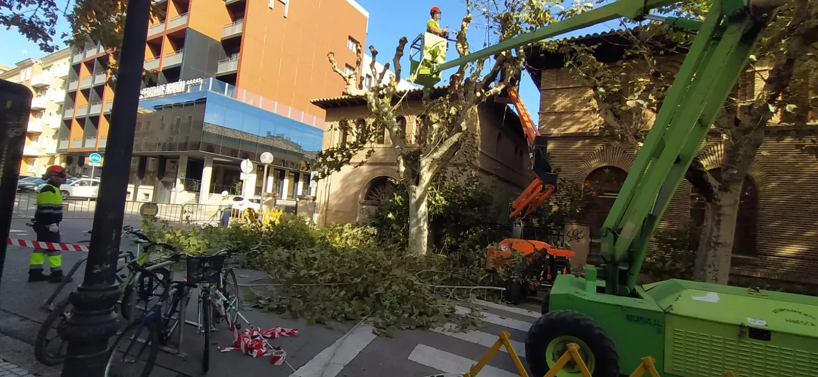 Poda de plátanos en la calle del Parque. Foto Joaquín Santafé 
