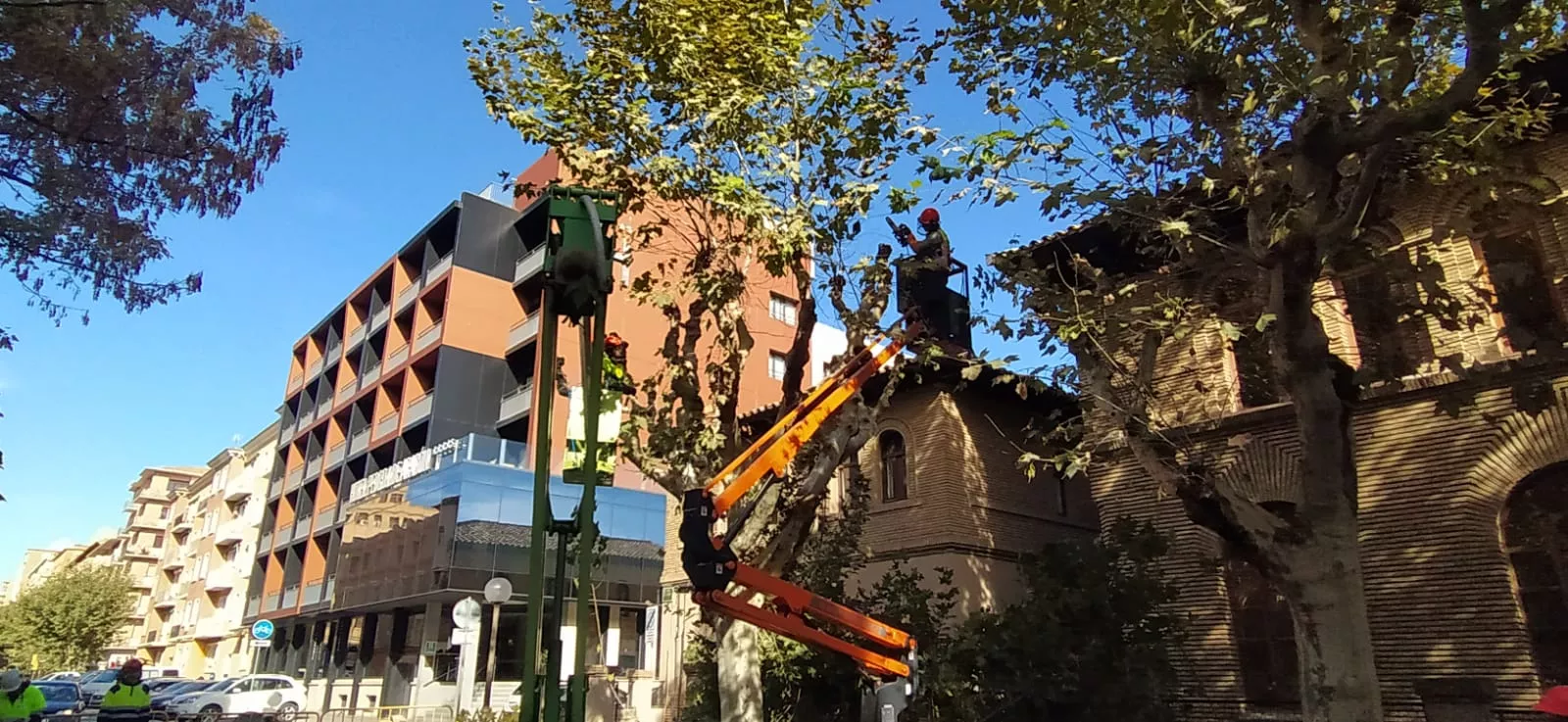 Poda de plátanos en la calle del Parque. Foto Joaquín Santafé 