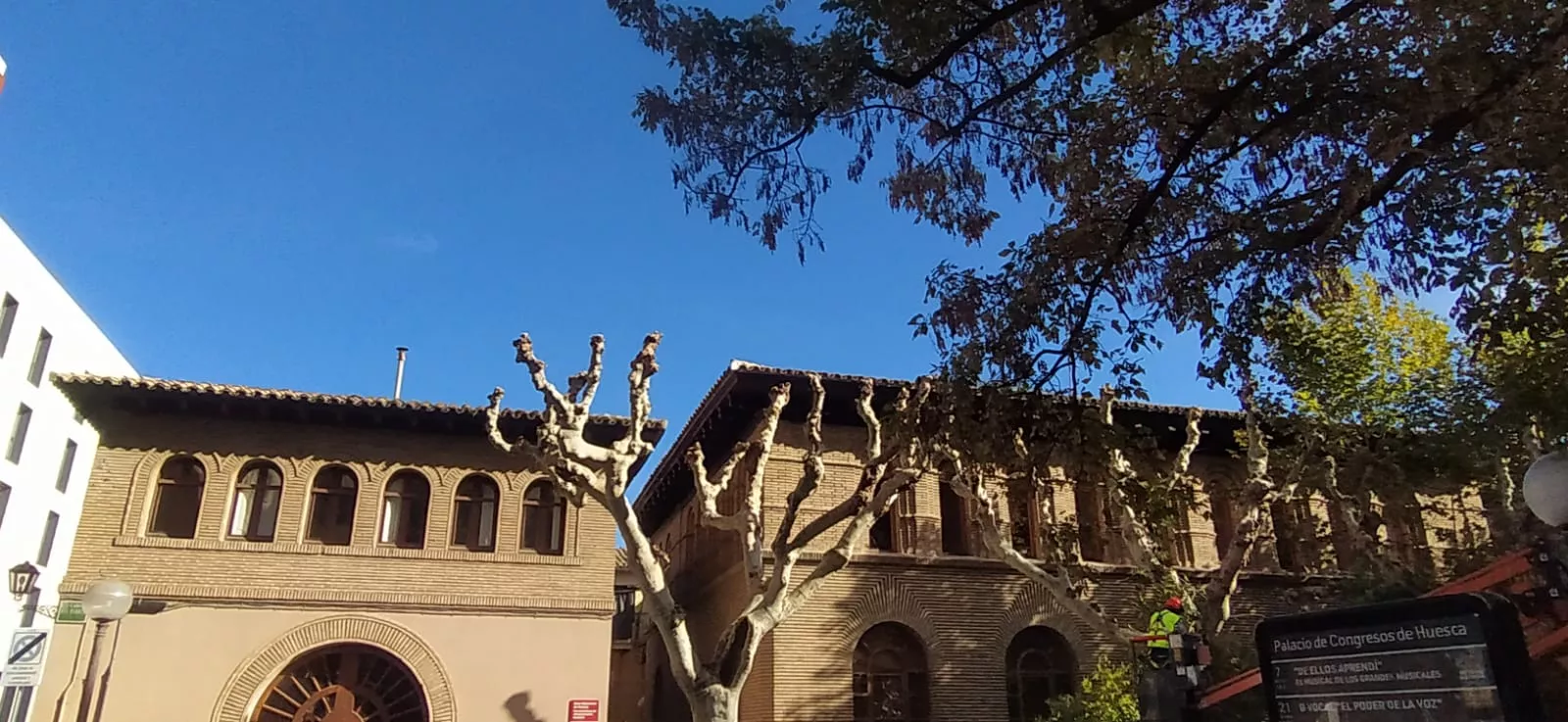 Poda de plátanos en la calle del Parque. Foto Joaquín Santafé 