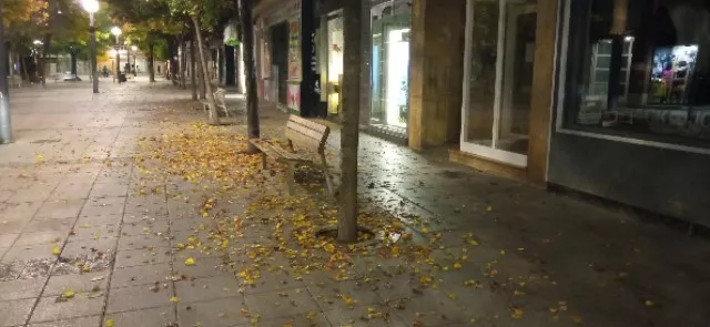 Hojas caídas de los árboles en Concepción Arenal