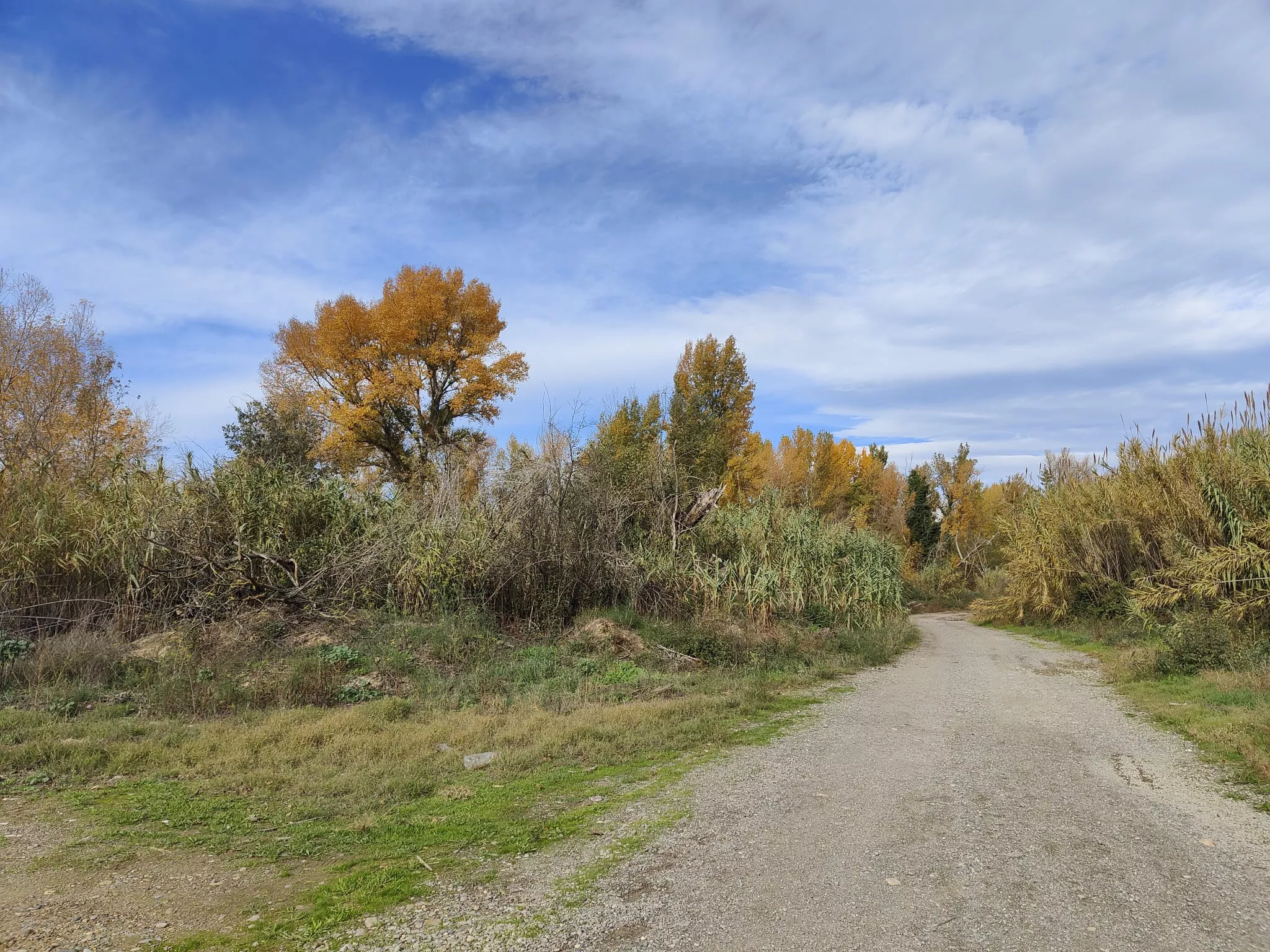 Se van a producir cortes en el acceso a la pasarela de la N-240 en Monzón.