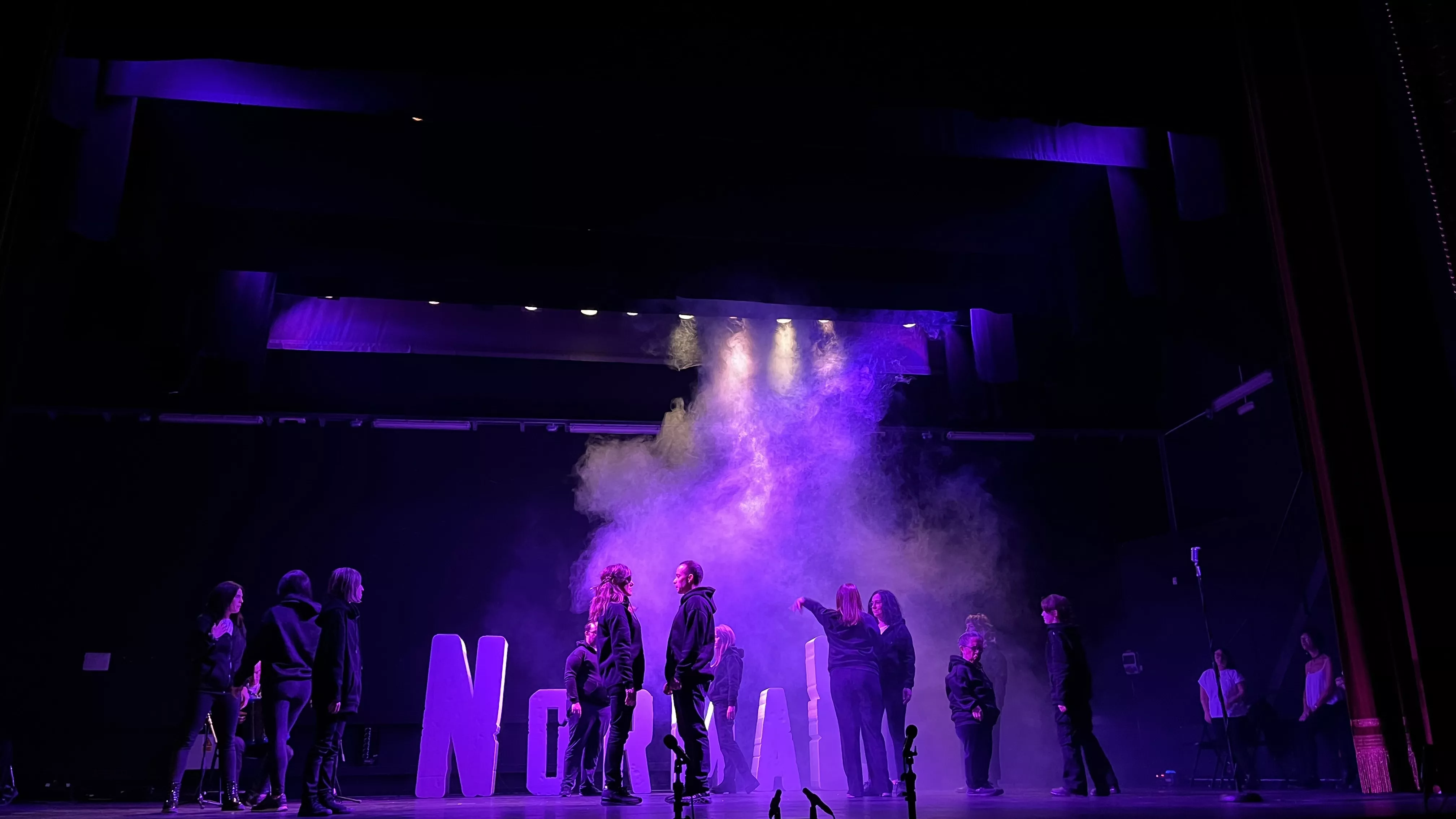 Representación en Diversario del espectáculo Normal. Foto Mercedes Manterola