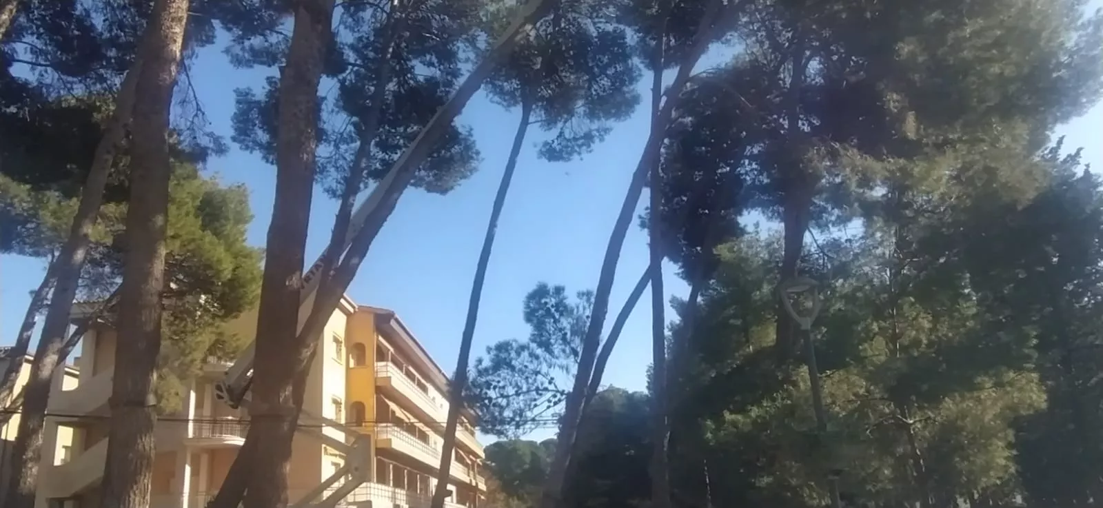  Hospital Provincial. Foto Joaquín Santafé 