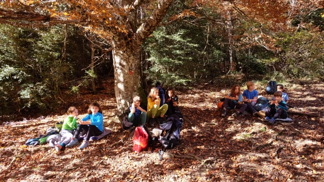 2023 1119 18055300 2023 1119 18055300